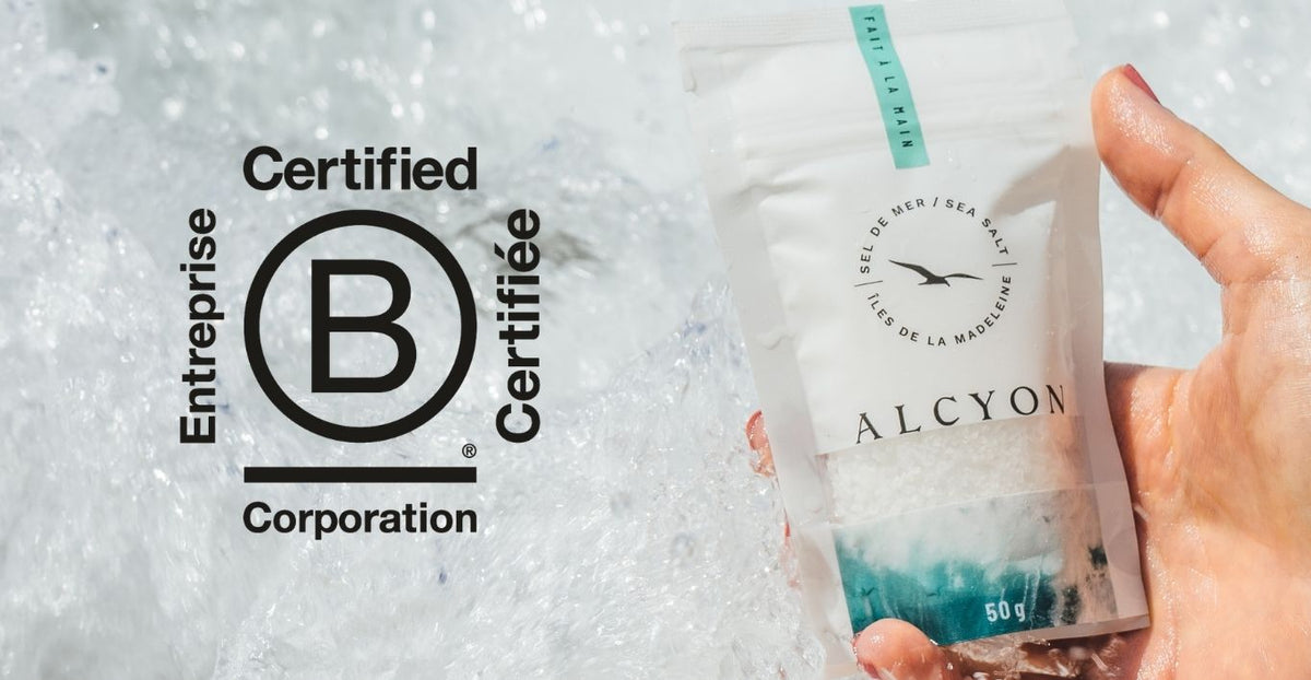 Le mois B Corp : une conversation qui continue