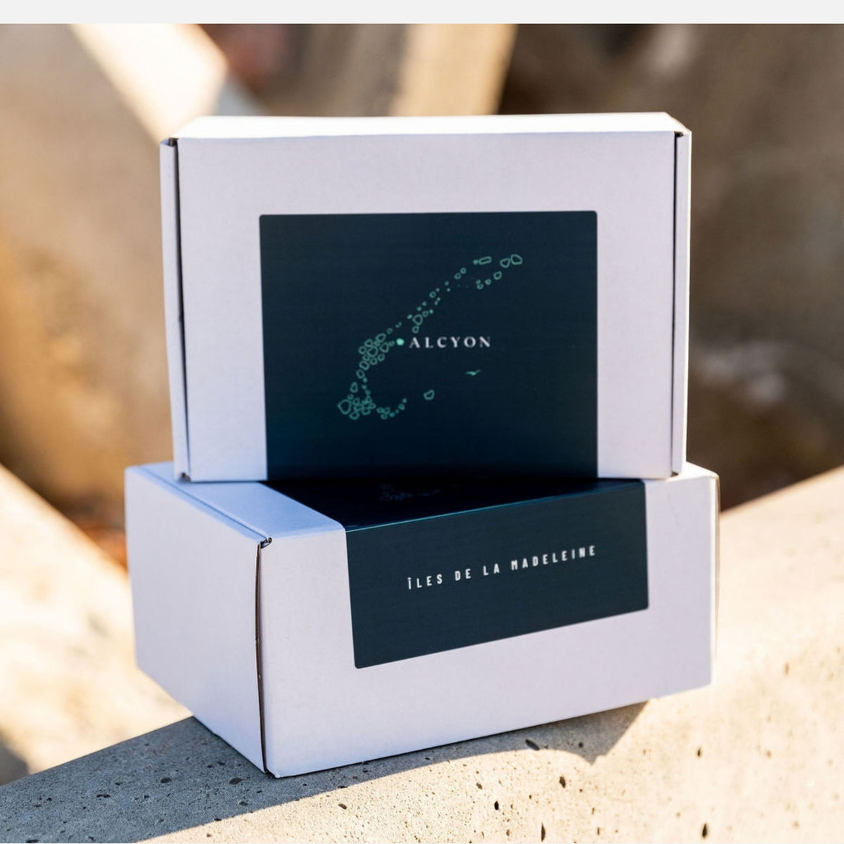 Coffret ensemble à cocktails Alcyon
